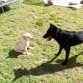 Jazz y yo conociendonos
